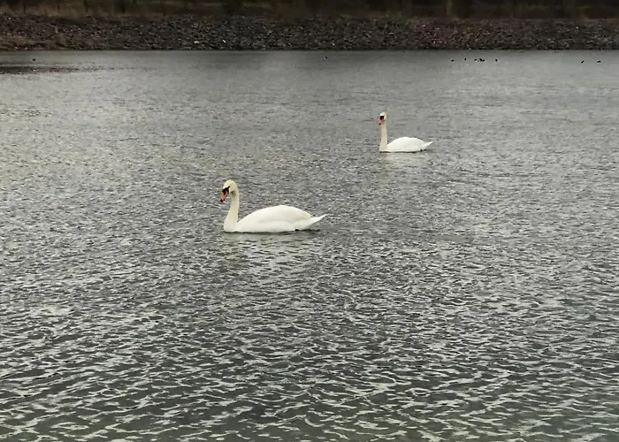 Asiatisches Pensionat