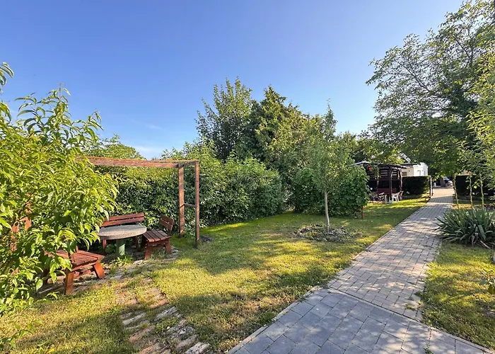 Asiatisches Braunsbedra