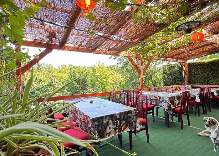 Asiatisches 3* Braunsbedra